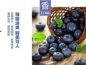 水莓100完全国产免费